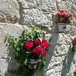 Rural Papasol