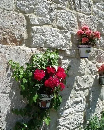 Rural Papasol