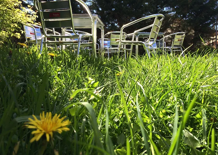 Rural Papasol Atapuerca